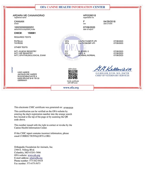 aebbie ardara canaan kanaan canaandog kanaanhund canaanhund israelspitz harer canaangen canaanoasis erhaltungszucht hundezucht zucht welpen karlsruhe deutschland schweiz oesterreich europa urhund nativedog fci vdh akc acw ihv ida cdca icdca kc ukc kennel whitenobless spitzville nobleguardians chanco storytelling solemel nizzana anacan myrnashiboleth shiboleth rudolphinamenzel menzel reeves laurareeves uweharer jacquelineharer preservationbreeding labogen laboklin embark wisdompanel laukner ganslosser duncanschroeter duncan schroeter carolbeuchat beuchat schlosshunde