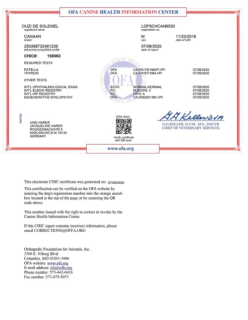 moshae solemel canaan kanaan canaandog kanaanhund canaanhund israelspitz harer canaangen canaanoasis erhaltungszucht hundezucht zucht welpen karlsruhe deutschland schweiz oesterreich europa urhund nativedog fci vdh akc acw ihv ida cdca icdca kc ukc kennel whitenobless spitzville nobleguardians chanco storytelling solemel nizzana anacan myrnashiboleth shiboleth rudolphinamenzel menzel reeves laurareeves uweharer jacquelineharer preservationbreeding labogen laboklin embark wisdompanel laukner ganslosser duncanschroeter duncan schroeter carolbeuchat beuchat schlosshunde