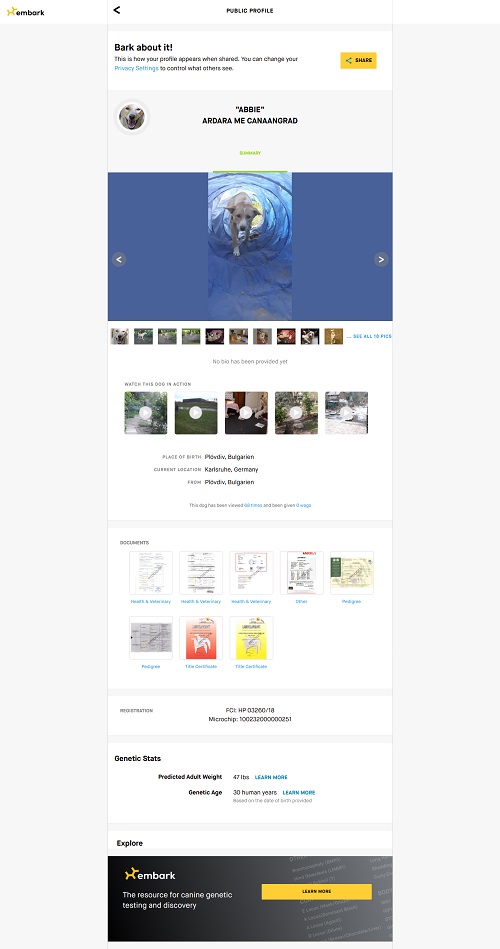 aebbie ardara canaangrad canaan kanaan canaandog kanaanhund canaanhund israelspitz harer canaangen canaanoasis erhaltungszucht hundezucht zucht welpen karlsruhe deutschland schweiz oesterreich europa urhund nativedog fci vdh akc acw ihv ida cdca icdca kc ukc kennel whitenobless spitzville nobleguardians chanco storytelling solemel nizzana anacan myrnashiboleth shiboleth rudolphinamenzel menzel reeves laurareeves uweharer jacquelineharer preservationbreeding labogen laboklin embark wisdompanel laukner ganslosser duncanschroeter duncan schroeter carolbeuchat beuchat