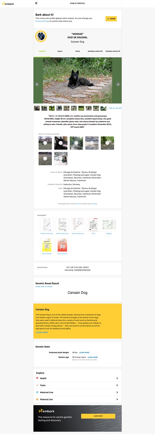 moshae ouzi solemel canaan kanaan canaandog kanaanhund canaanhund israelspitz harer canaangen canaanoasis erhaltungszucht hundezucht zucht welpen karlsruhe deutschland schweiz oesterreich europa urhund nativedog fci vdh akc acw ihv ida cdca icdca kc ukc kennel whitenobless spitzville nobleguardians chanco storytelling solemel nizzana anacan myrnashiboleth shiboleth rudolphinamenzel menzel reeves laurareeves uweharer jacquelineharer preservationbreeding labogen laboklin embark wisdompanel laukner ganslosser duncanschroeter duncan schroeter carolbeuchat beuchat